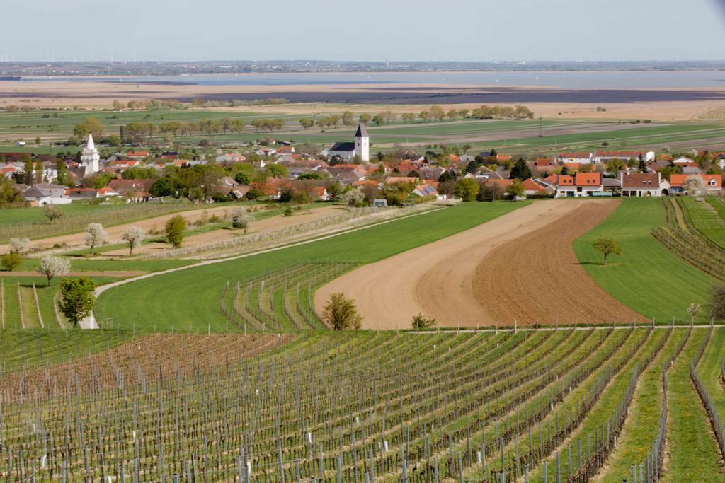 Villa Country *