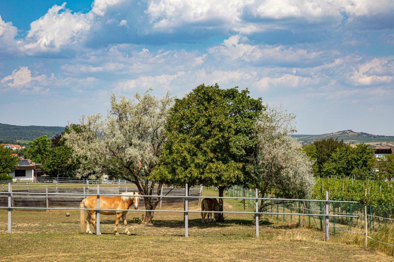 Country * Breitenbrunn (Burgenland)